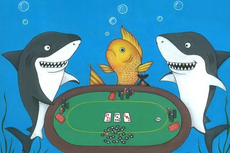 Fish trong Poker là gì? 5 cách nhận biết khi gặp Fish